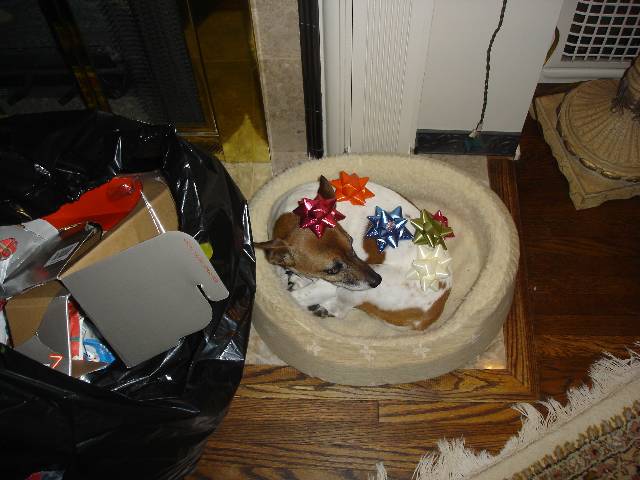 DSC00694 