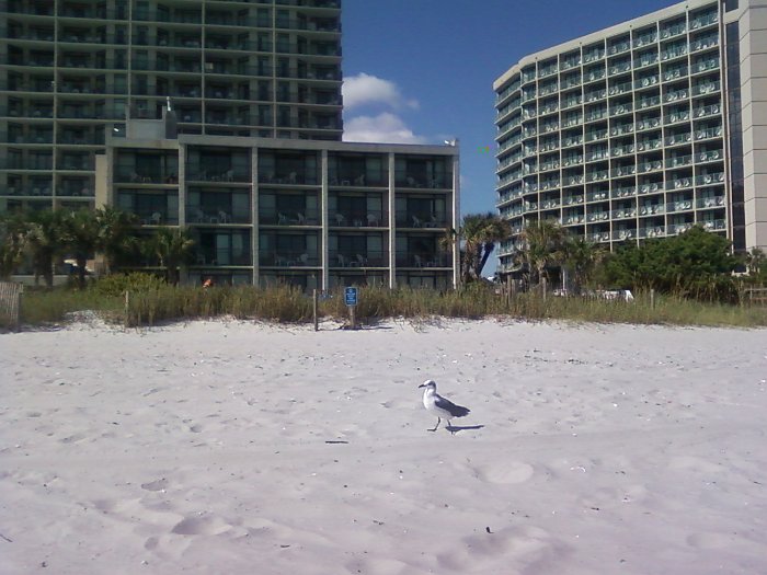 MyrtleBeach25