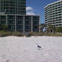 MyrtleBeach25
