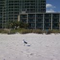 MyrtleBeach31