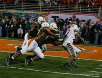 OSU41 