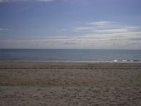 IM001469